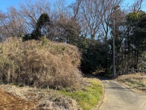 桶川市大字川田谷、土地の画像です
