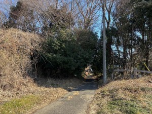 桶川市大字川田谷、土地の画像です
