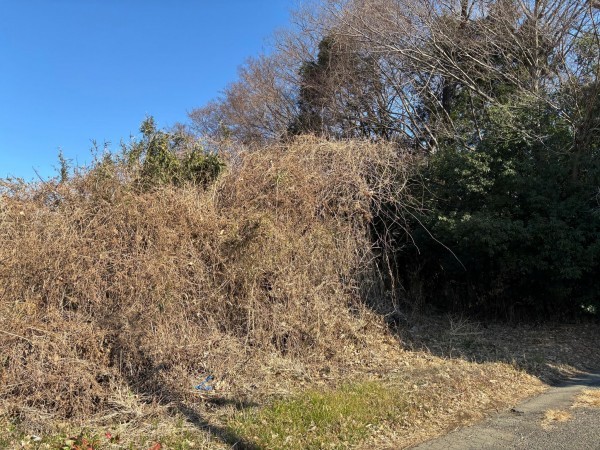 桶川市大字川田谷、土地の画像です