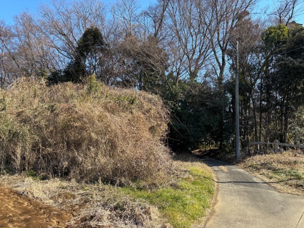 桶川市大字川田谷、土地の画像です
