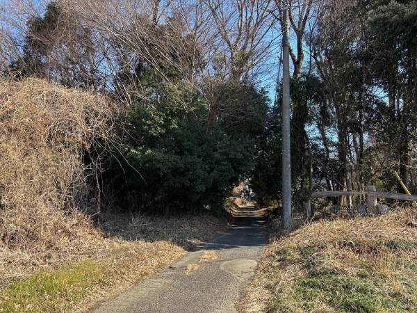 桶川市大字川田谷、土地の画像です