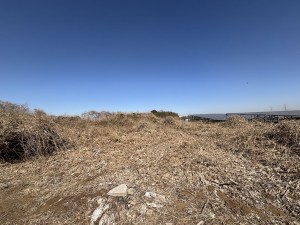 桶川市大字川田谷、土地の画像です