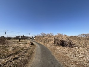 桶川市大字川田谷、土地の画像です