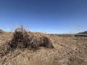 桶川市大字川田谷、土地の画像です