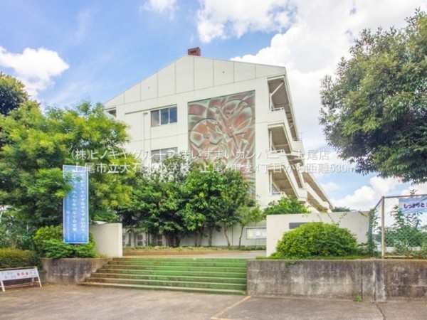 上尾市中妻、土地の画像です