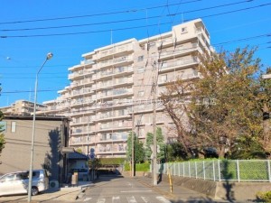 上尾市柏座、マンションの画像です