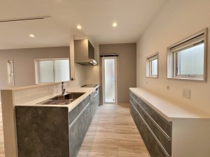 八潮市古新田、新築一戸建ての画像です