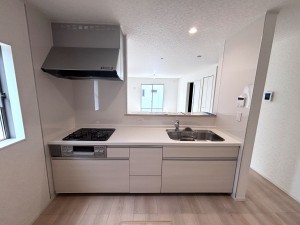 上尾市大字上尾下、新築一戸建ての画像です