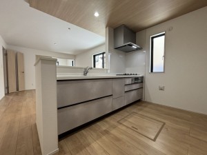 桶川市大字下日出谷、新築一戸建ての画像です