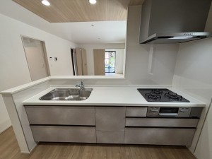 桶川市大字下日出谷、新築一戸建ての画像です