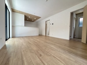 桶川市大字下日出谷、新築一戸建ての画像です