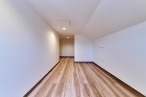 八潮市古新田、新築一戸建ての画像です