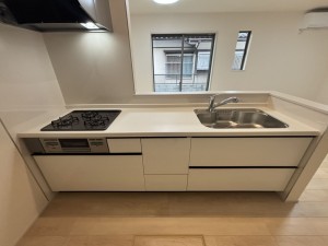 桶川市大字下日出谷、新築一戸建ての画像です