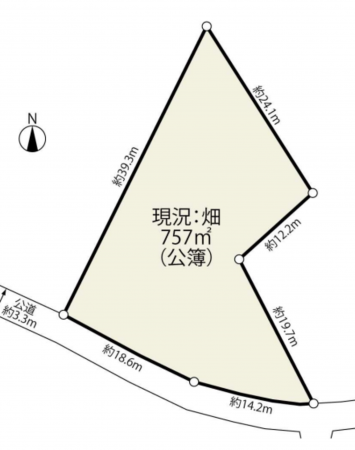 上尾市大字上野、土地の間取り画像です