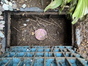 さいたま市岩槻区小溝、中古一戸建ての画像です