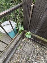 久喜市 木の住まい　久喜市 一戸建て　久喜市 不動産売買　久喜市 不動産 仲介