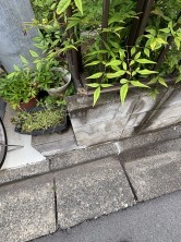 久喜市 木の住まい　久喜市 一戸建て　久喜市 不動産売買　久喜市 不動産 仲介
