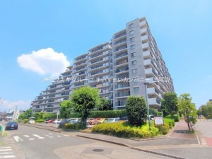 上尾市柏座、マンションの画像です