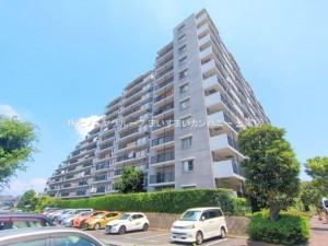 上尾市柏座、マンションの画像です