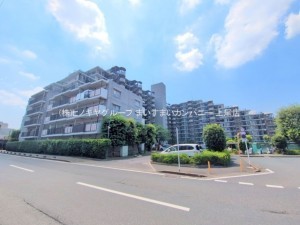 上尾市柏座、マンションの画像です