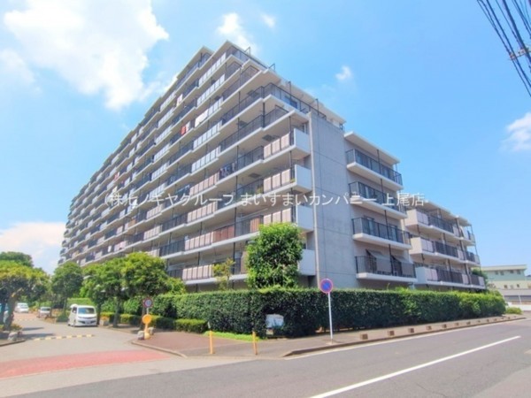 上尾市柏座、マンションの画像です