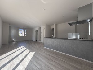 桶川市北、新築一戸建ての画像です