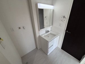 桶川市上日出谷南、新築一戸建ての画像です