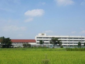 久喜市 木の住まい　久喜市 一戸建て　久喜市 不動産売買　久喜市 不動産 仲介