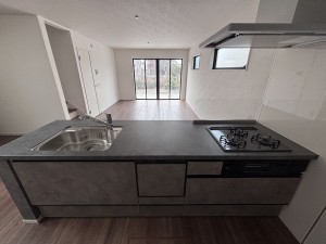 桶川市泉、新築一戸建ての画像です