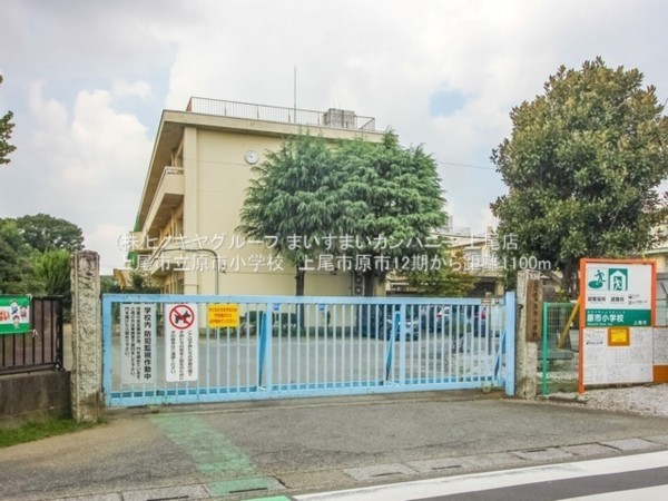 上尾市大字原市、新築一戸建ての画像です
