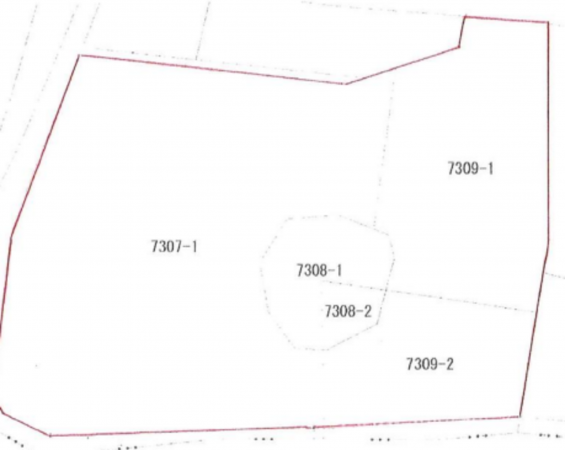 桶川市大字川田谷、土地の間取り画像です