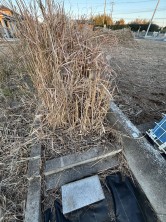 久喜市 木の住まい　久喜市 一戸建て　久喜市 不動産売買　久喜市 不動産 仲介