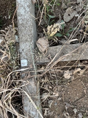 鹿嶋市津賀、土地の画像です