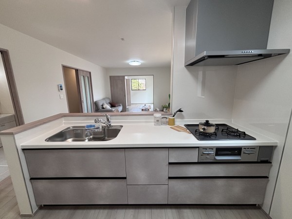 上尾市大字上尾村、新築一戸建ての画像です