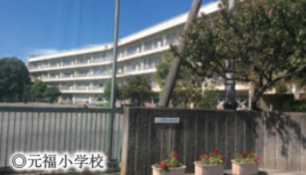 ふじみ野市清見、土地の画像です