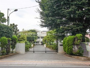 桶川市大字上日出谷、土地の中学校画像です