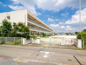 桶川市大字下日出谷、土地の小学校画像です