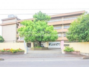 上尾市錦町、新築一戸建ての画像です