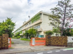 上尾市大字平塚、土地の画像です
