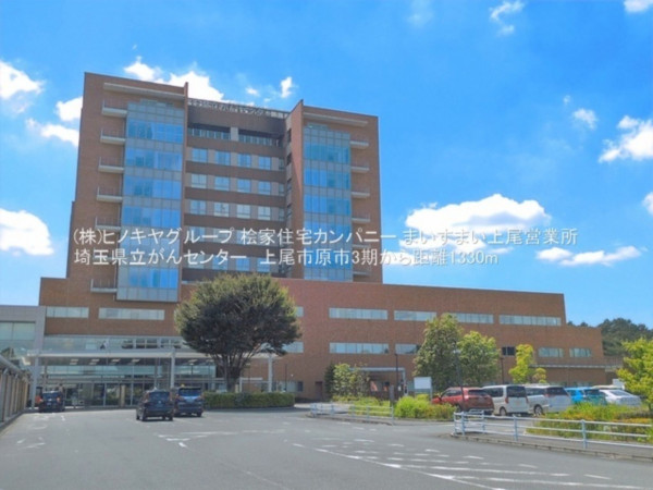 上尾市大字原市、新築一戸建ての画像です