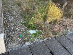 静岡市駿河区見瀬、土地の画像です