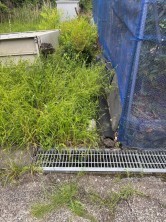 葵区新伝馬 不動産売買　葵区新伝馬 不動産　葵区新伝馬 不動産会社　葵区新伝馬 不動産仲介