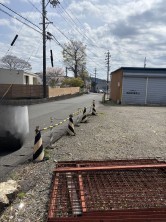 葵区新伝馬 不動産売買　葵区新伝馬 不動産　葵区新伝馬 不動産会社　葵区新伝馬 不動産仲介