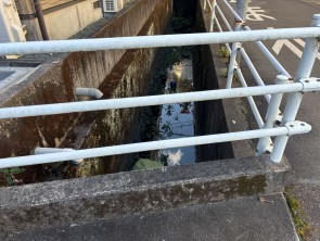 葵区新伝馬 不動産売買　葵区新伝馬 不動産　葵区新伝馬 不動産会社　葵区新伝馬 不動産仲介