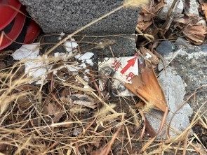 葵区新伝馬 不動産売買　葵区新伝馬 不動産　葵区新伝馬 不動産会社　葵区新伝馬 不動産仲介