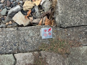 葵区新伝馬 不動産売買　葵区新伝馬 不動産　葵区新伝馬 不動産会社　葵区新伝馬 不動産仲介