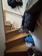 葵区新伝馬 不動産売買　葵区新伝馬 不動産　葵区新伝馬 不動産会社　葵区新伝馬 不動産仲介