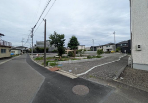 静岡市駿河区丸子新田、土地の画像です