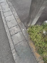 葵区新伝馬 不動産売買　葵区新伝馬 不動産　葵区新伝馬 不動産会社　葵区新伝馬 不動産仲介