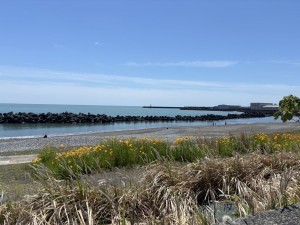焼津市、土地の画像です